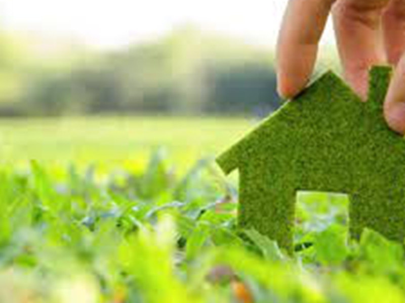 rise-of-sustainable